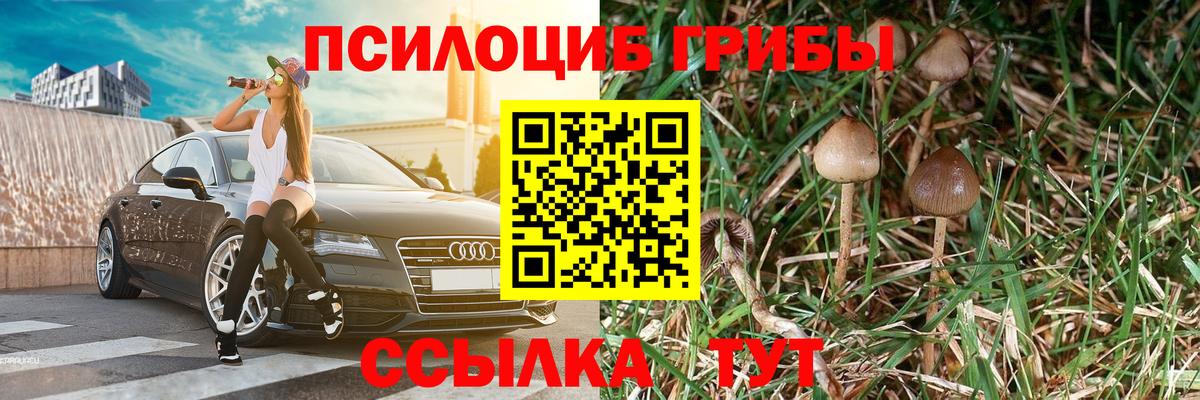 Галлюциногенные грибы Magic Shrooms Каменск-Шахтинский