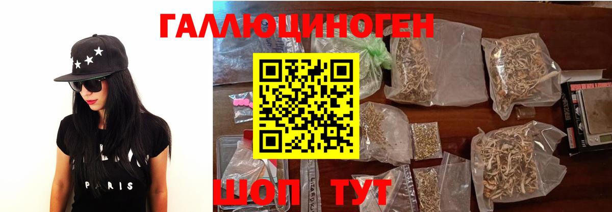 Псилоцибиновые грибы прущие грибы  Вход с VPN  Каменск-Шахтинский  Псилоцибиновые грибы Psilocybine cubensis 